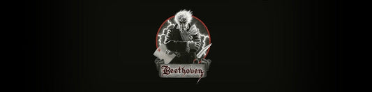 Beethoven's Last Night - The Story