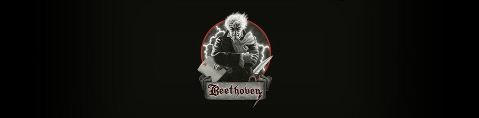 Beethoven's Last Night - The Story